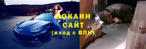 кокс Гусев