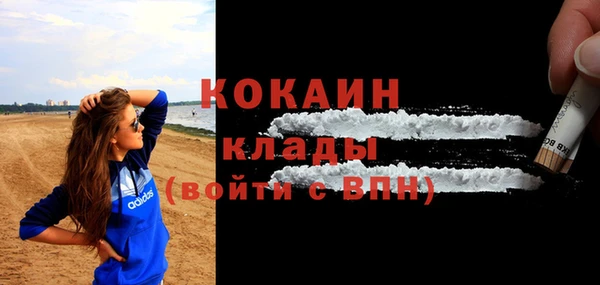кокс Гусев