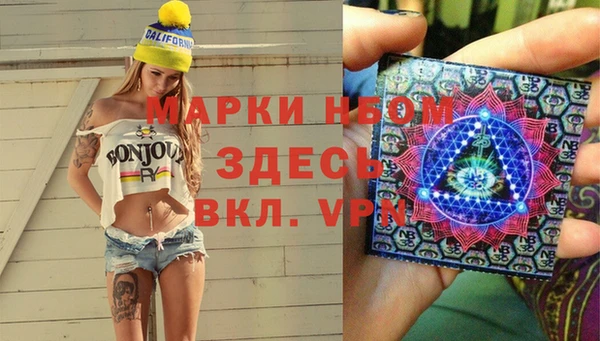 кокс Гусев