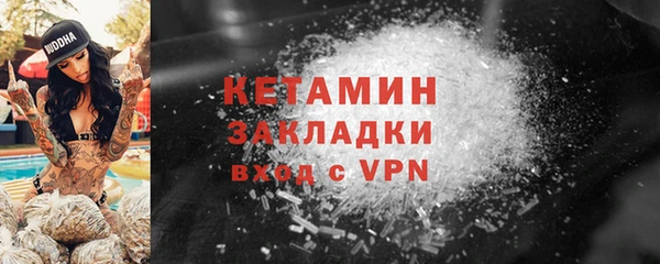 кокс Гусев
