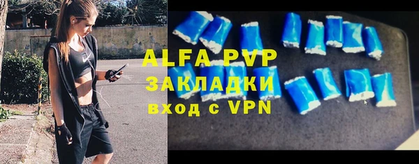 кокс Гусев