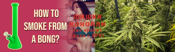 кокс Гусев