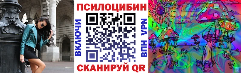 купить   МЕГА ссылки  Псилоцибиновые грибы мицелий  Могоча 